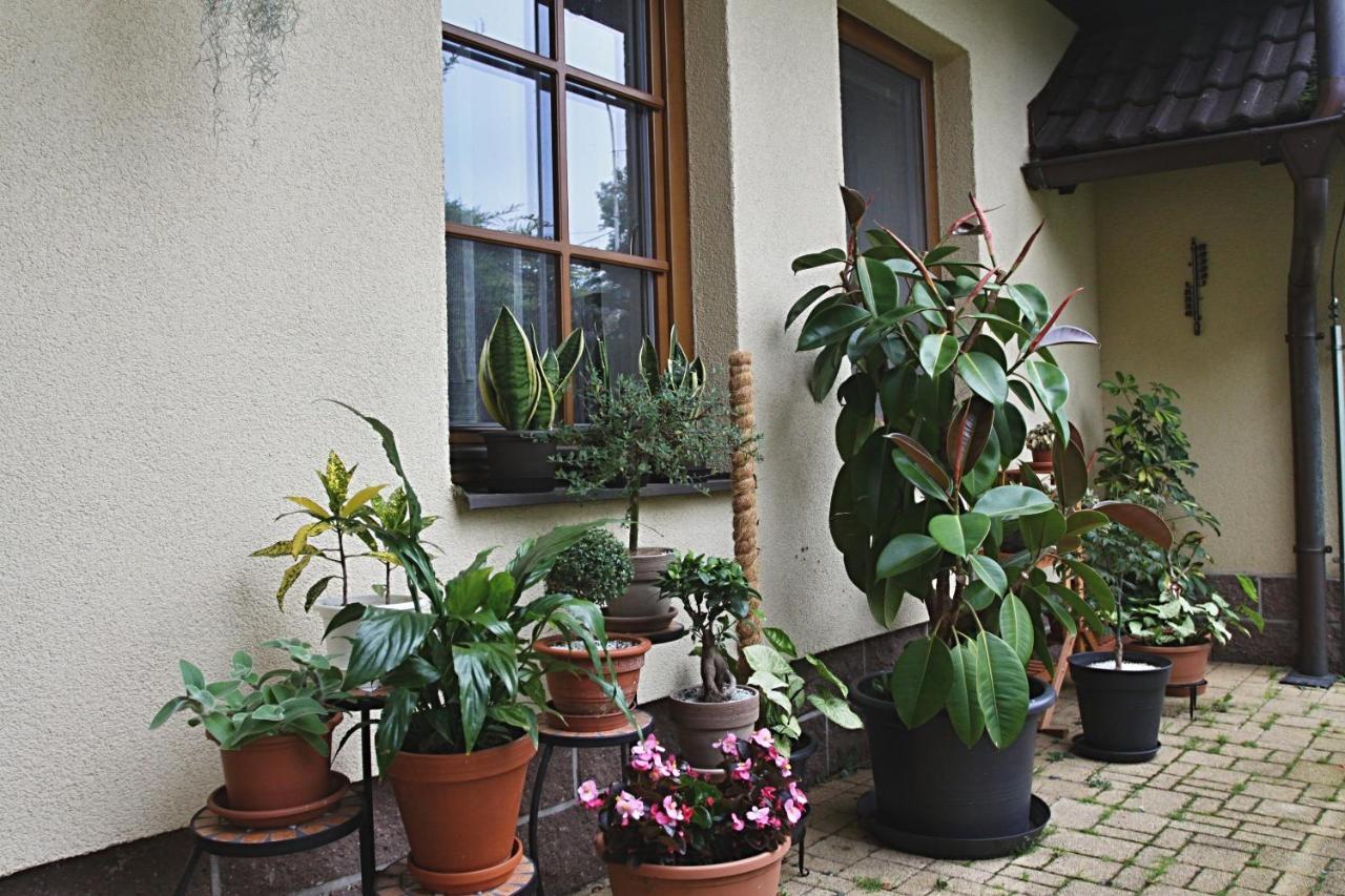 Ubytovani Zdarske Vrchy Světnov Dış mekan fotoğraf